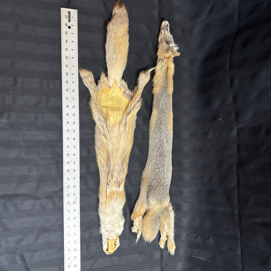 Plains Fox Pelts