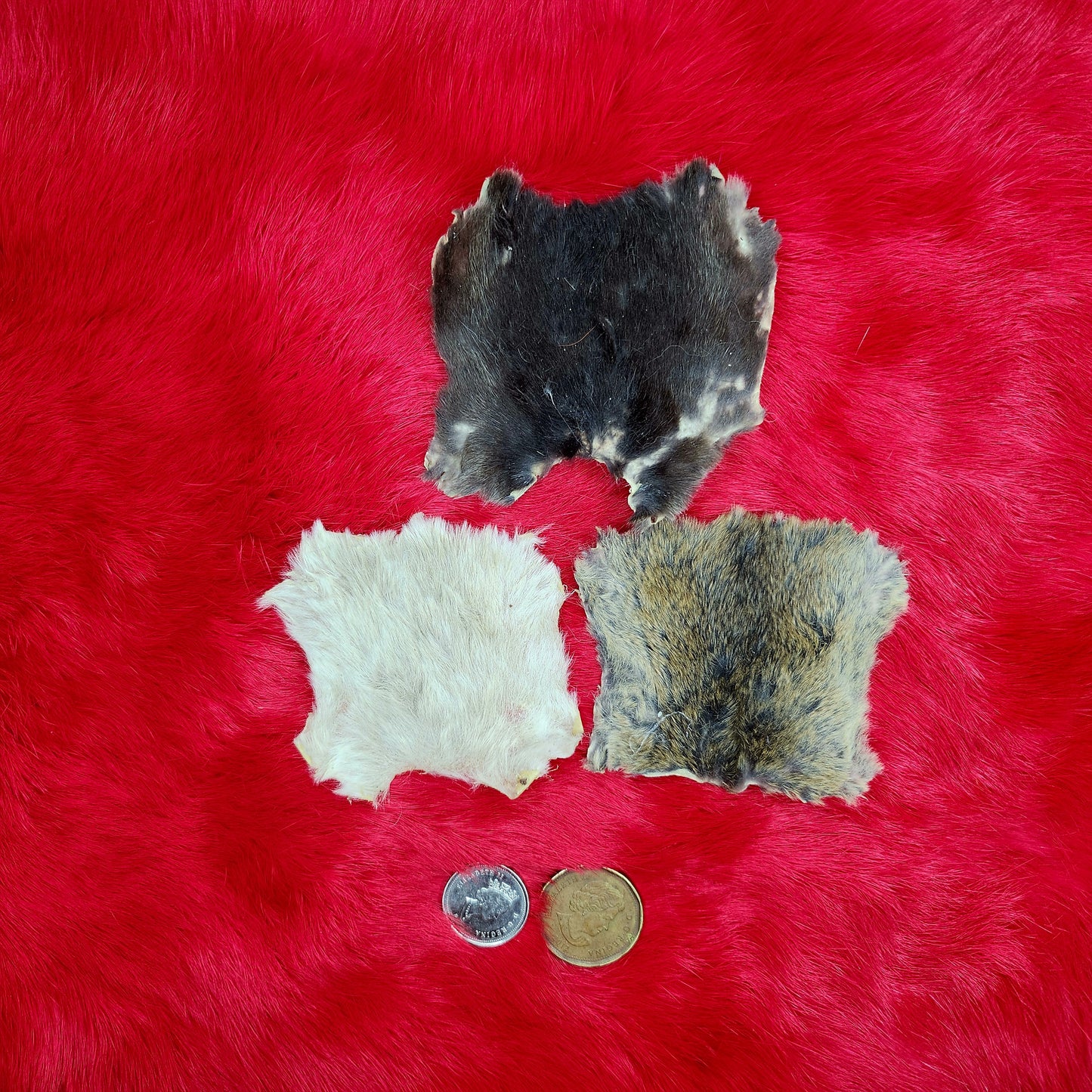 Mouse Fur Pelts