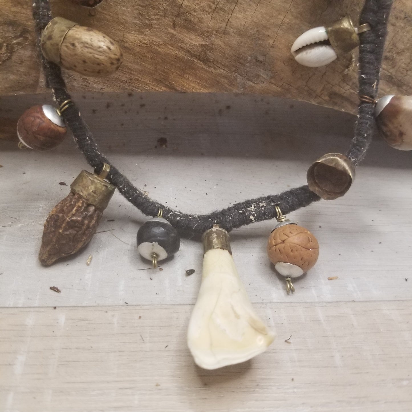 Moose incisor - Unique Necklace