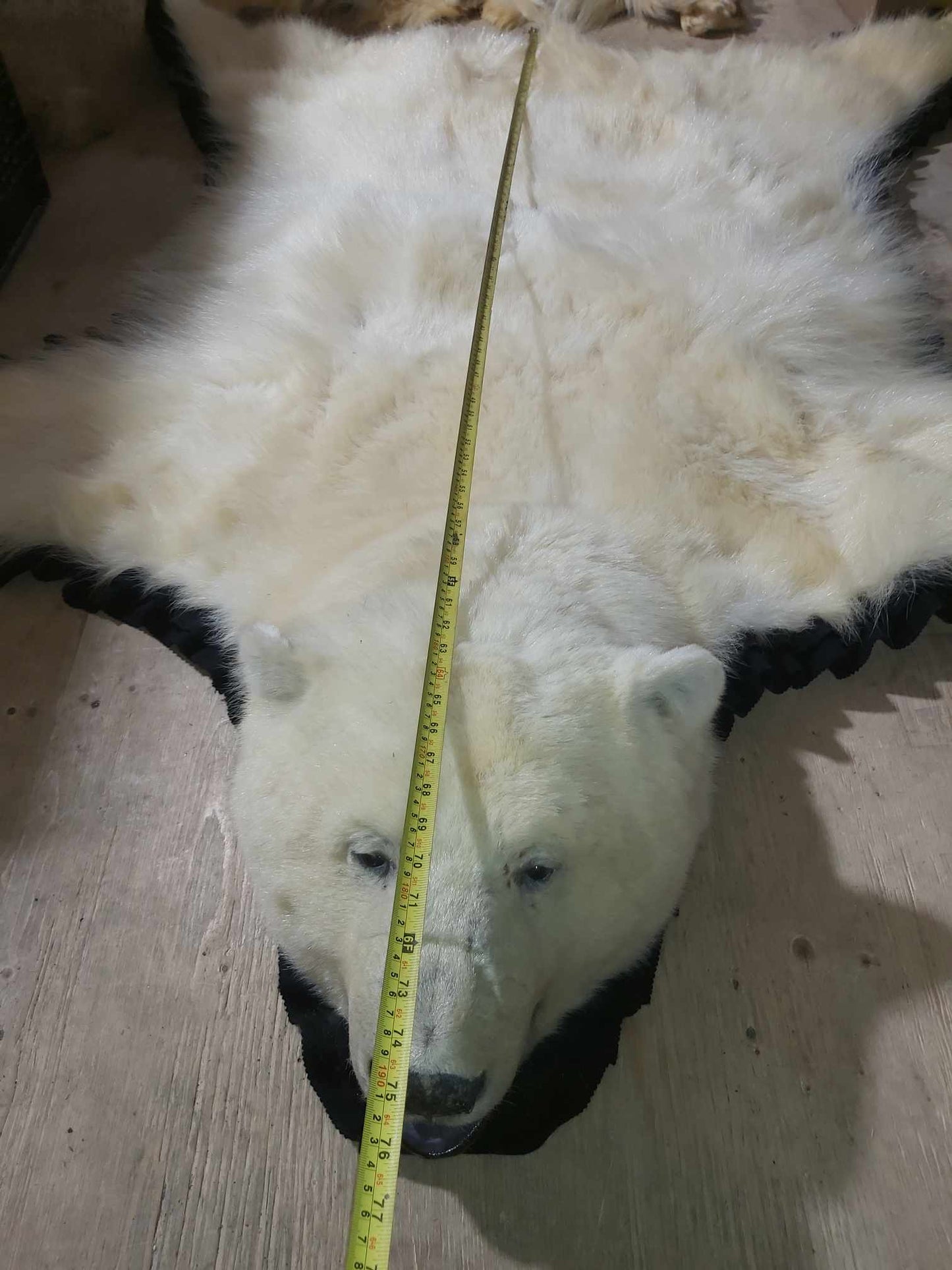 Fourrure d'ours polaire - Tapis 75 pouces