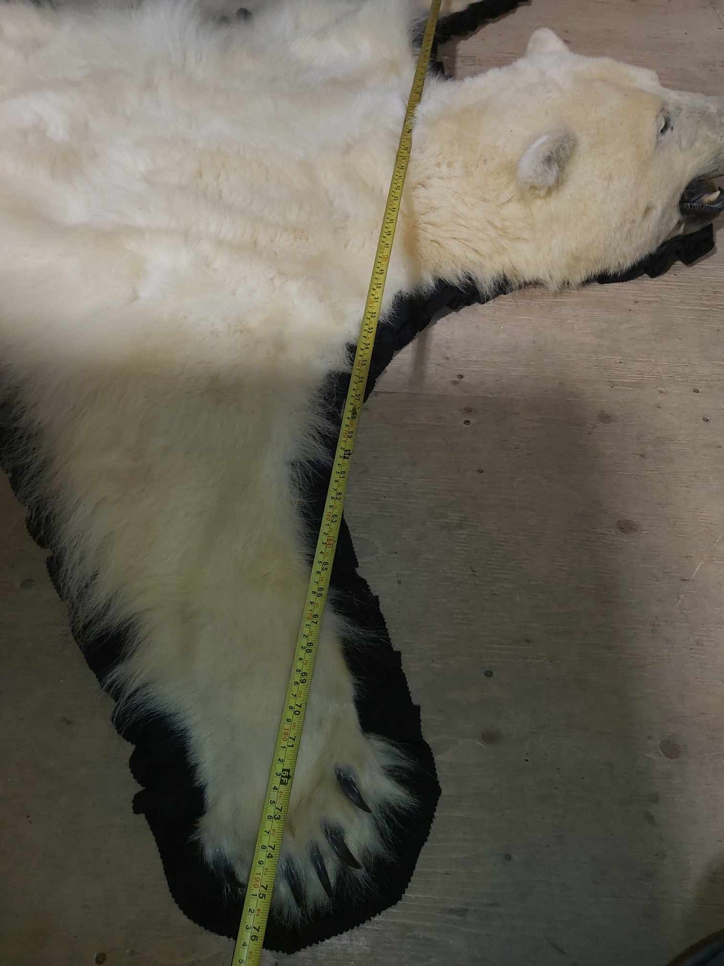 Fourrure d'ours polaire - Tapis 75 pouces