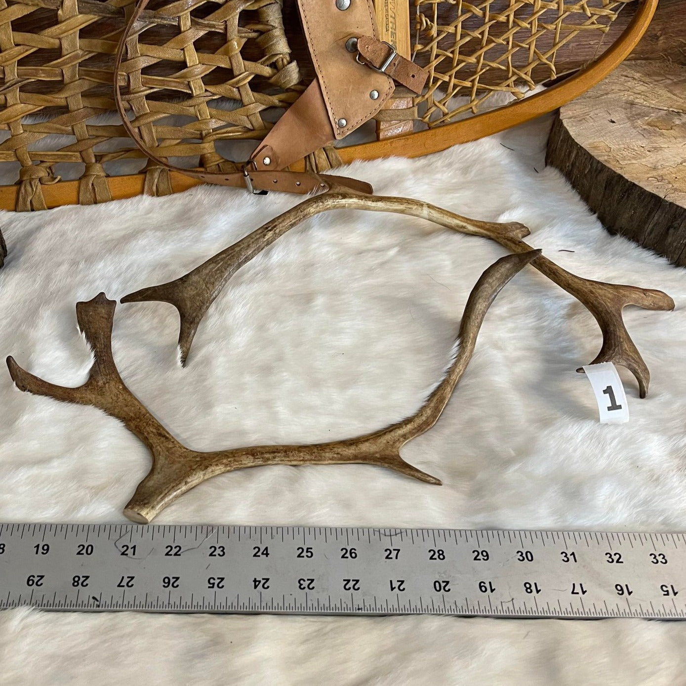 Paire de bois de caribou
