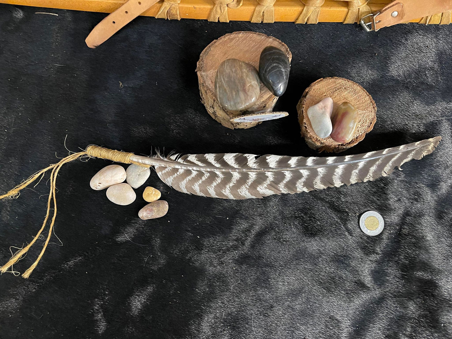 Plume de Fulmigation de Dinde