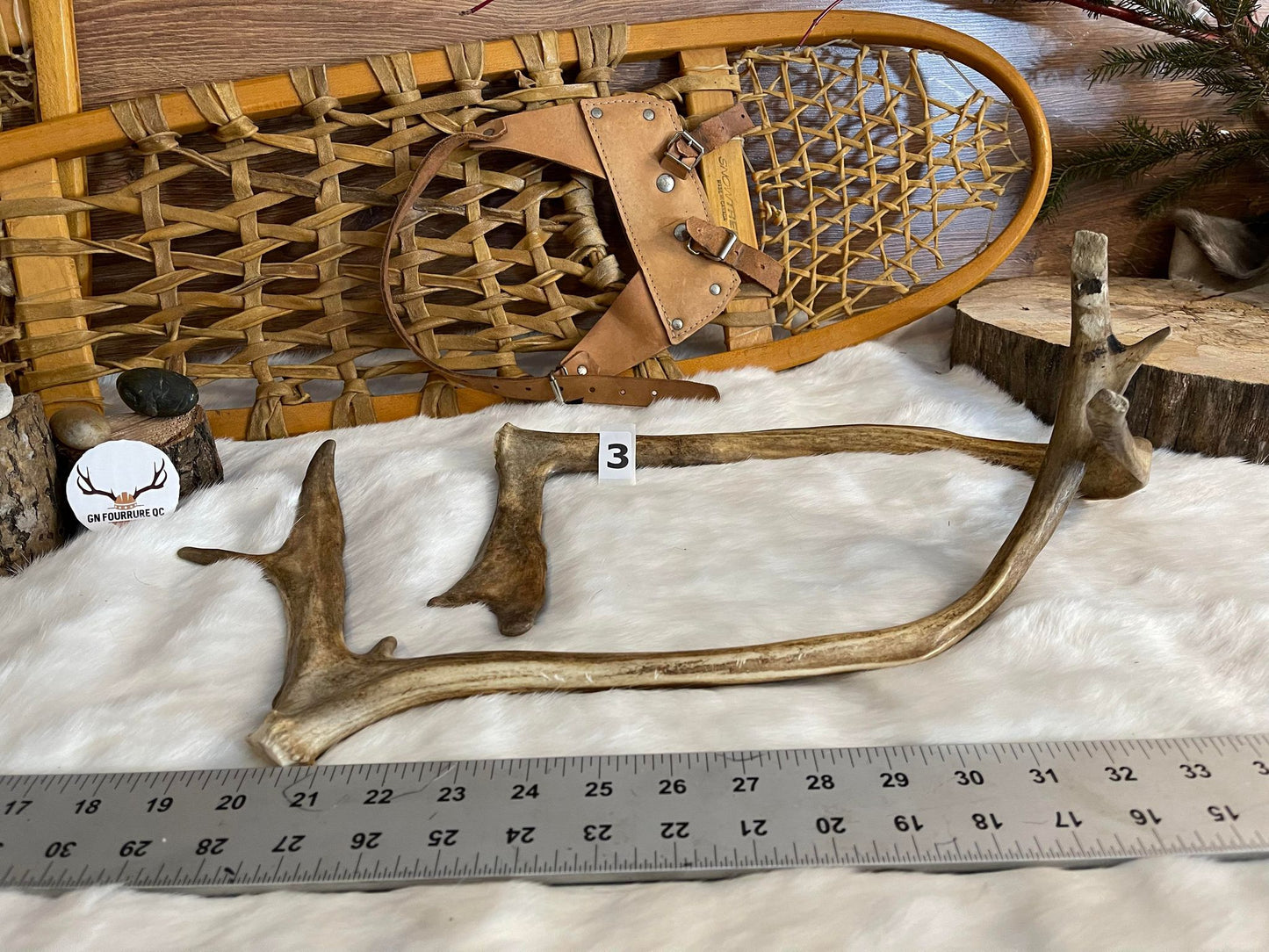 Paire de bois de caribou