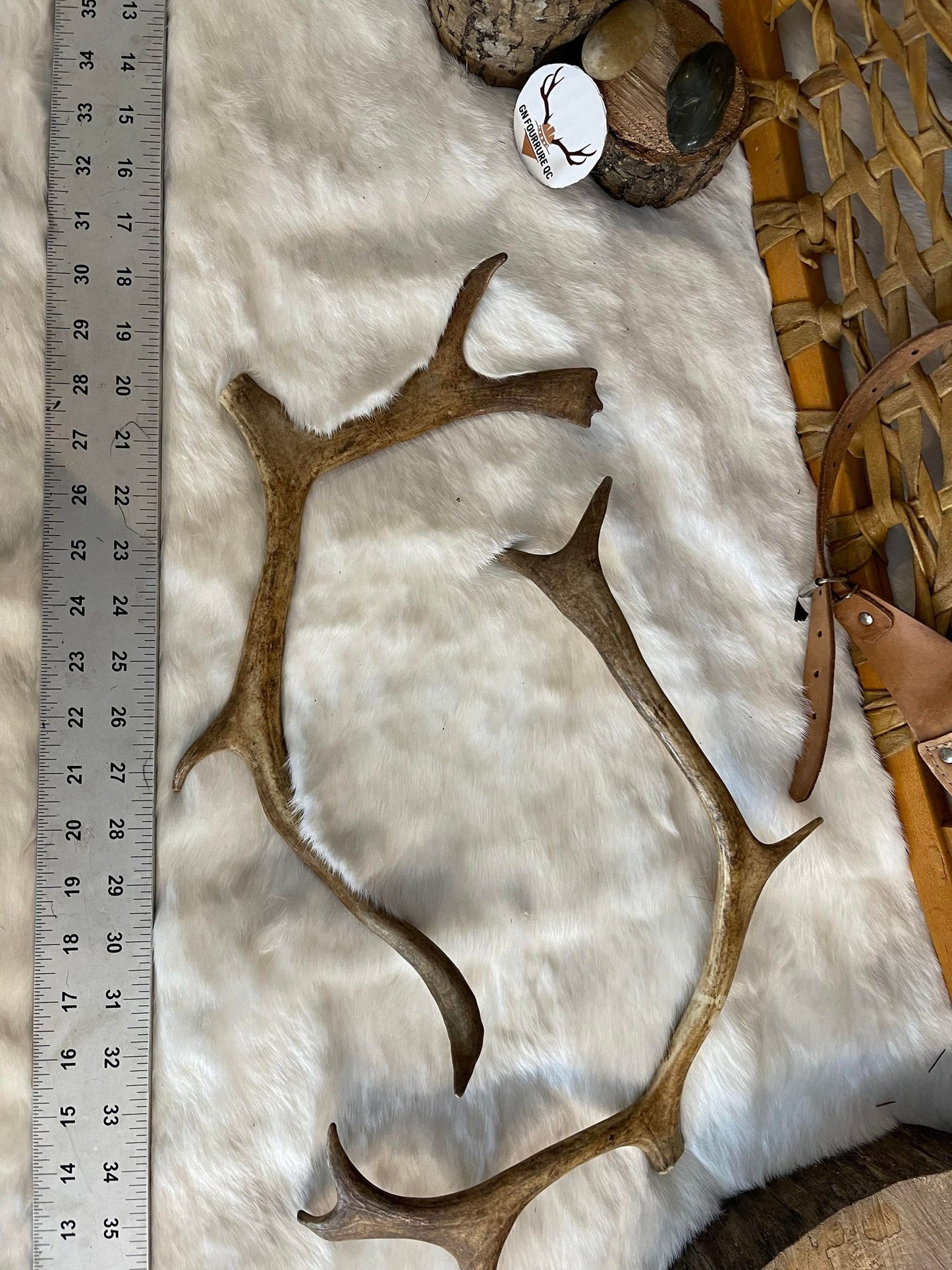 Paire de bois de caribou