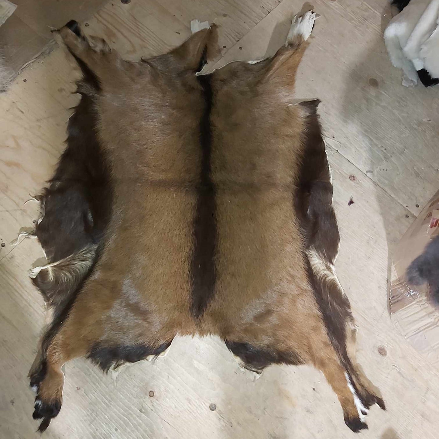 Goat Fur Pelt