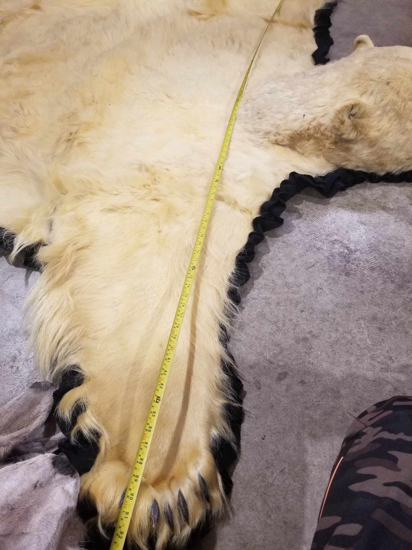 Polar Bear Fur - Rug 96 inches - Scarred