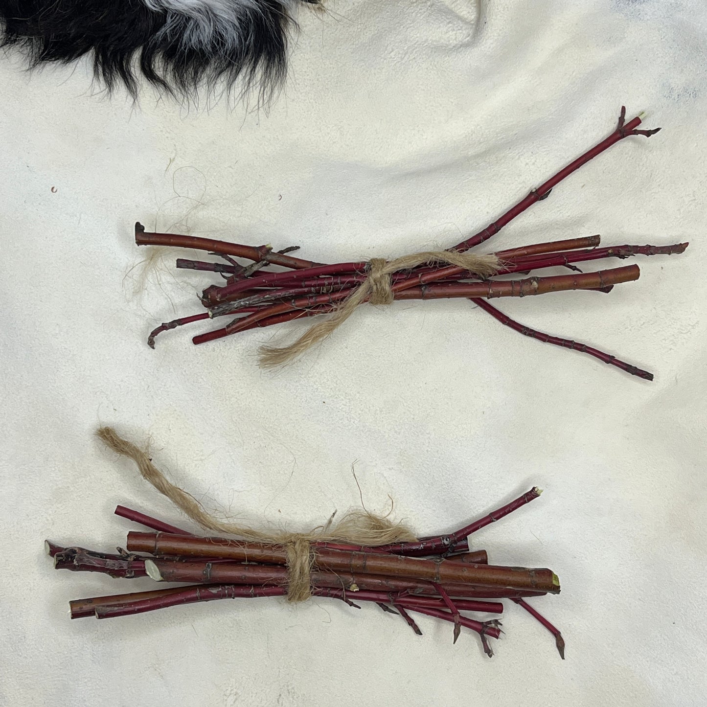 Dog Wood