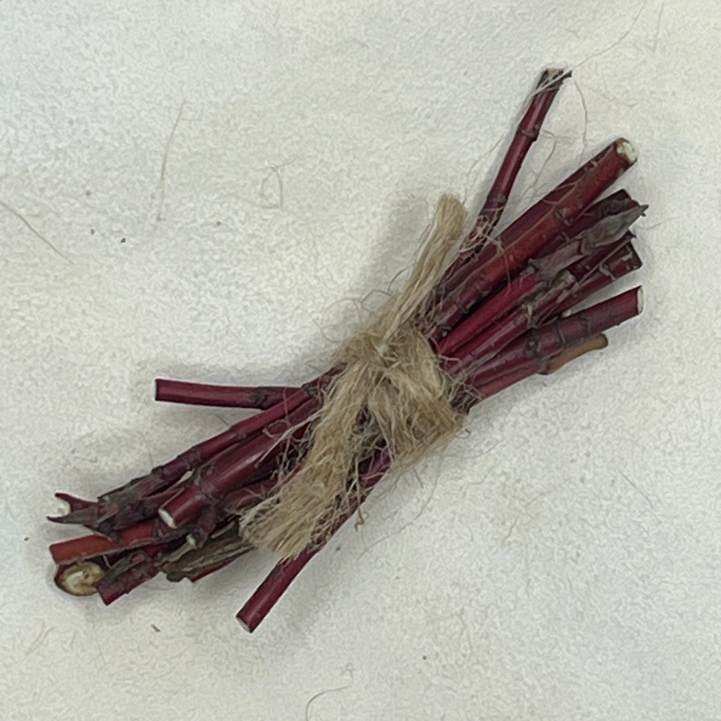 Dog Wood