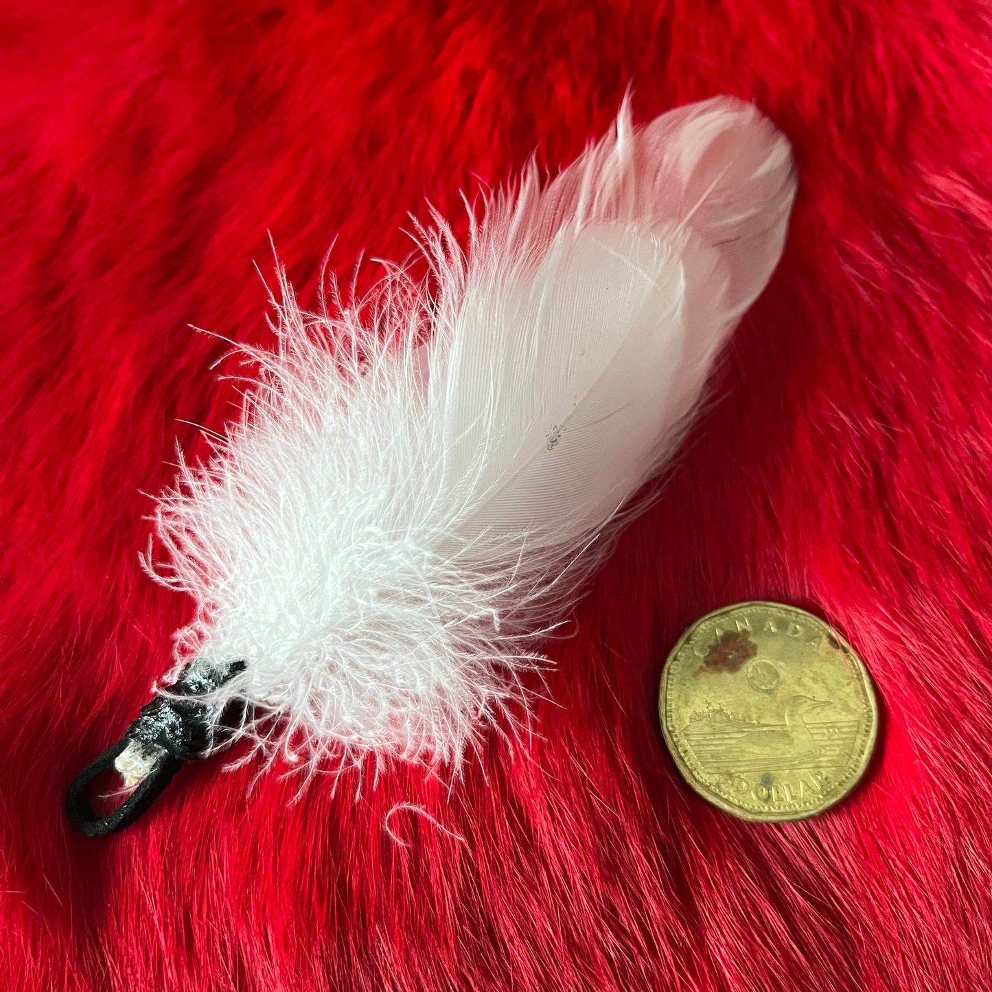 Accessoire en plumes de lagopède