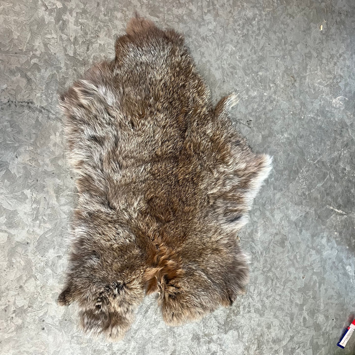 Rabbit Fur - Brown - Second quality
