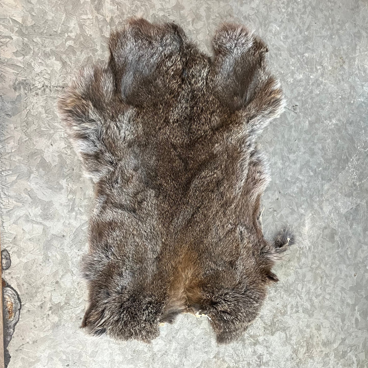 Rabbit Fur - Brown - Second quality