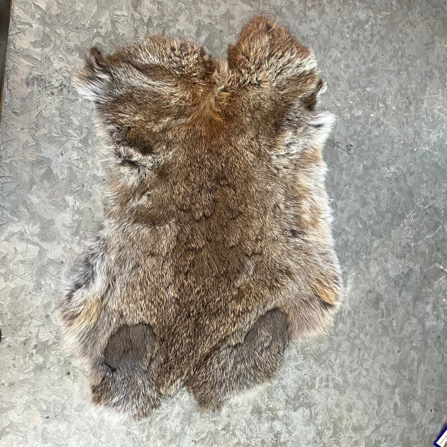 Rabbit Fur - Brown - Second quality