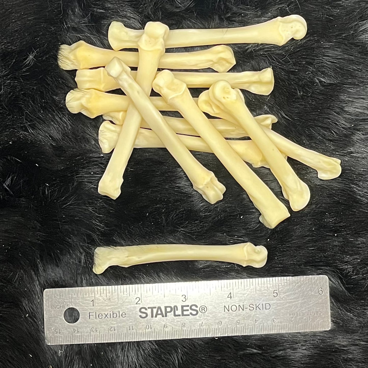 Phalanges en os de loup