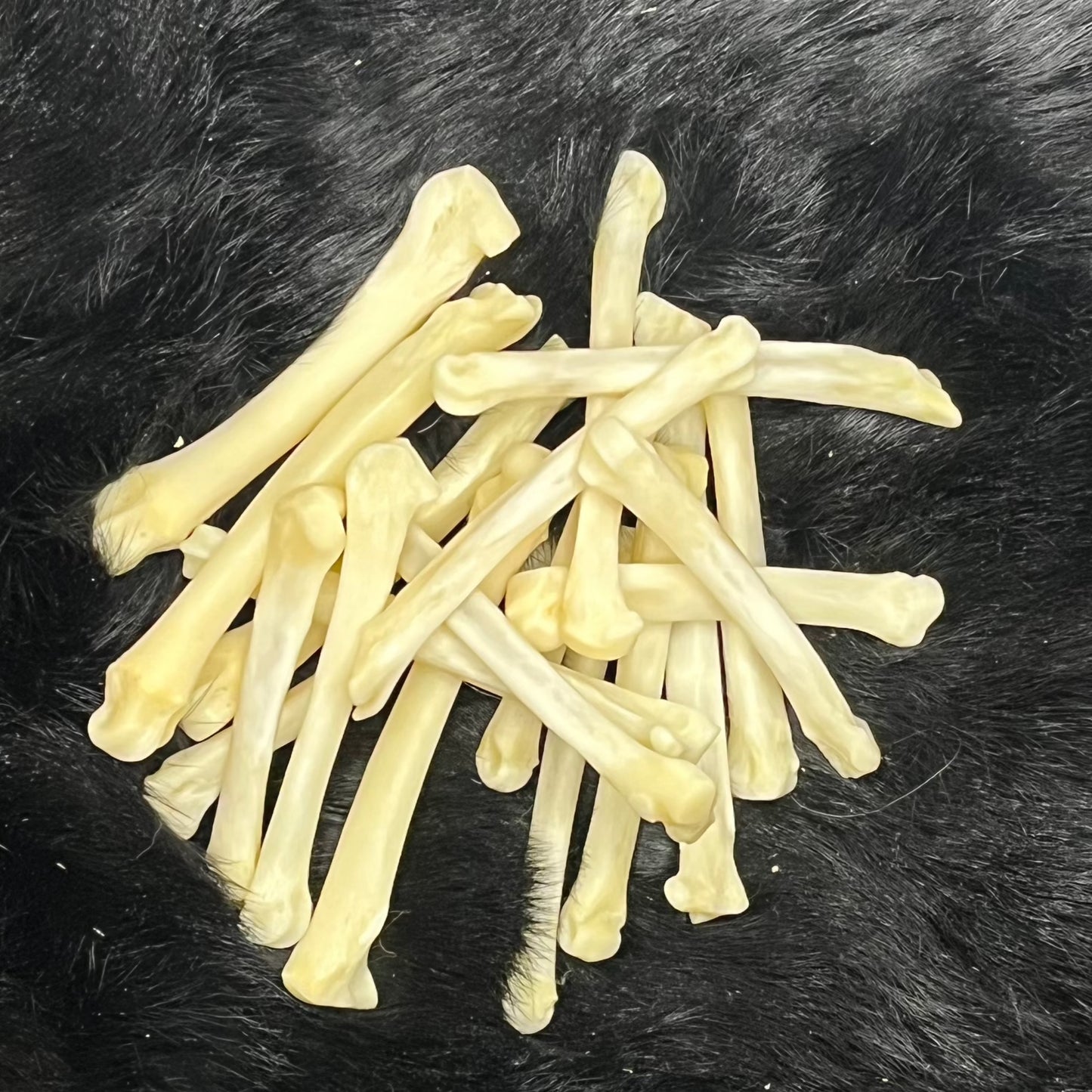 Phalanges en os de loup