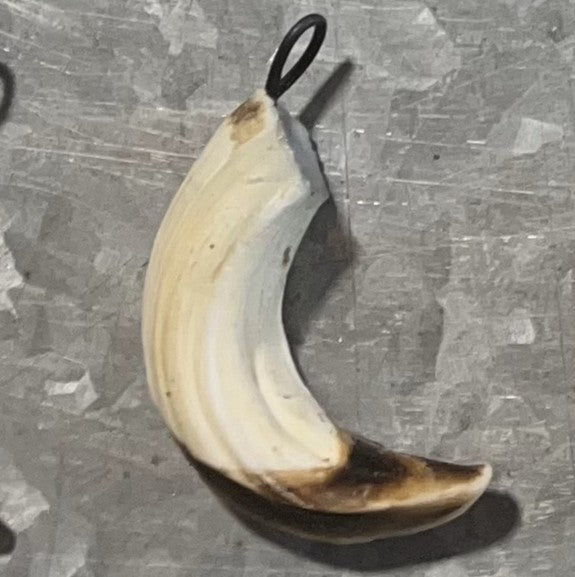 Pendentifs en petites défenses de sanglier