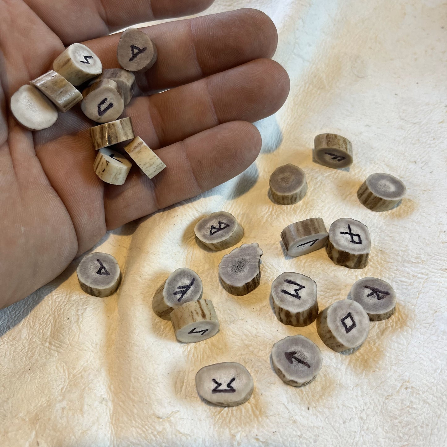 Deer Antler Slices with Viking Runes