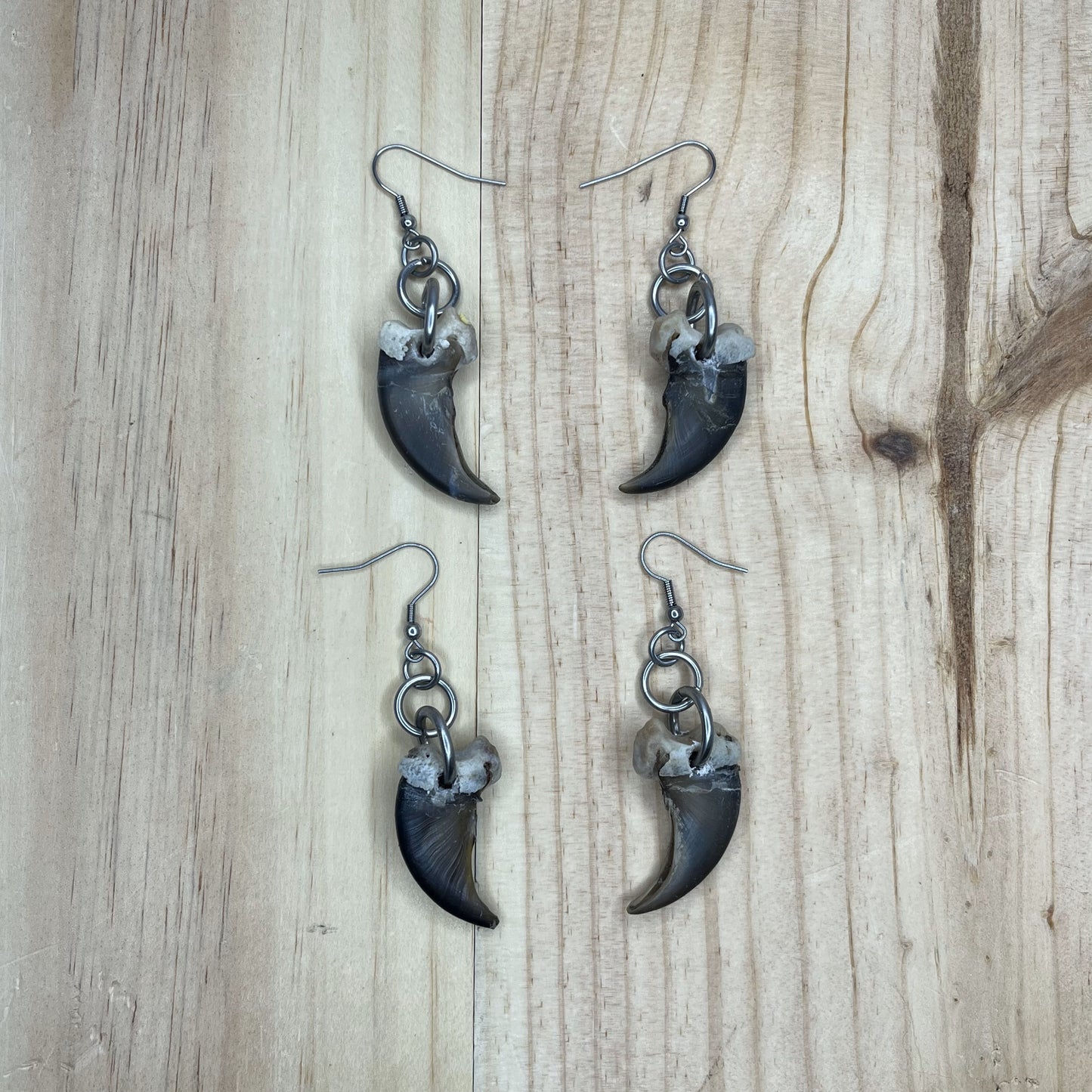 Boucles d'oreilles griffes d'ours
