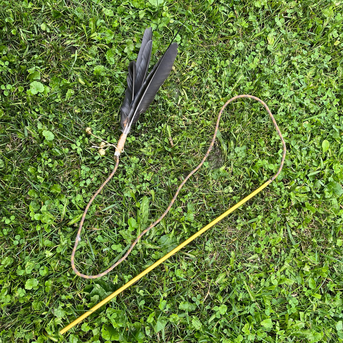 Cat Toys