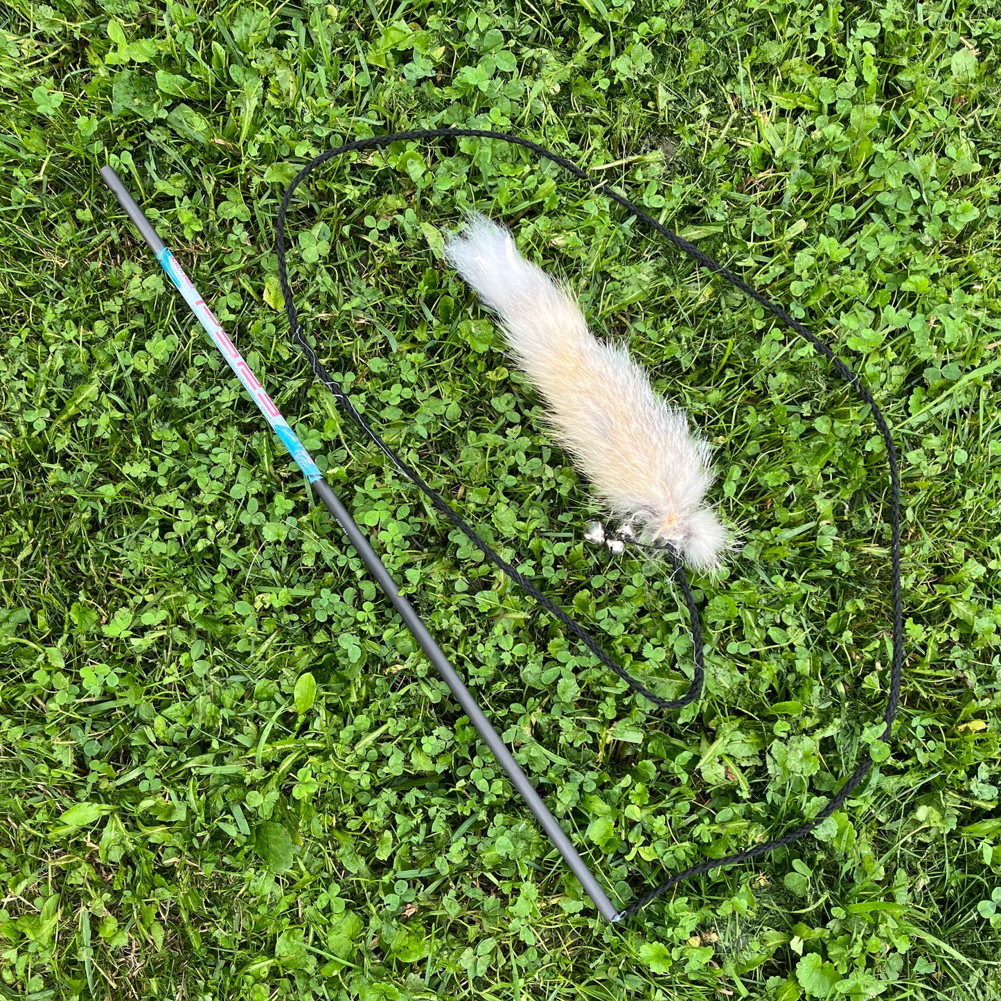 Cat Toys