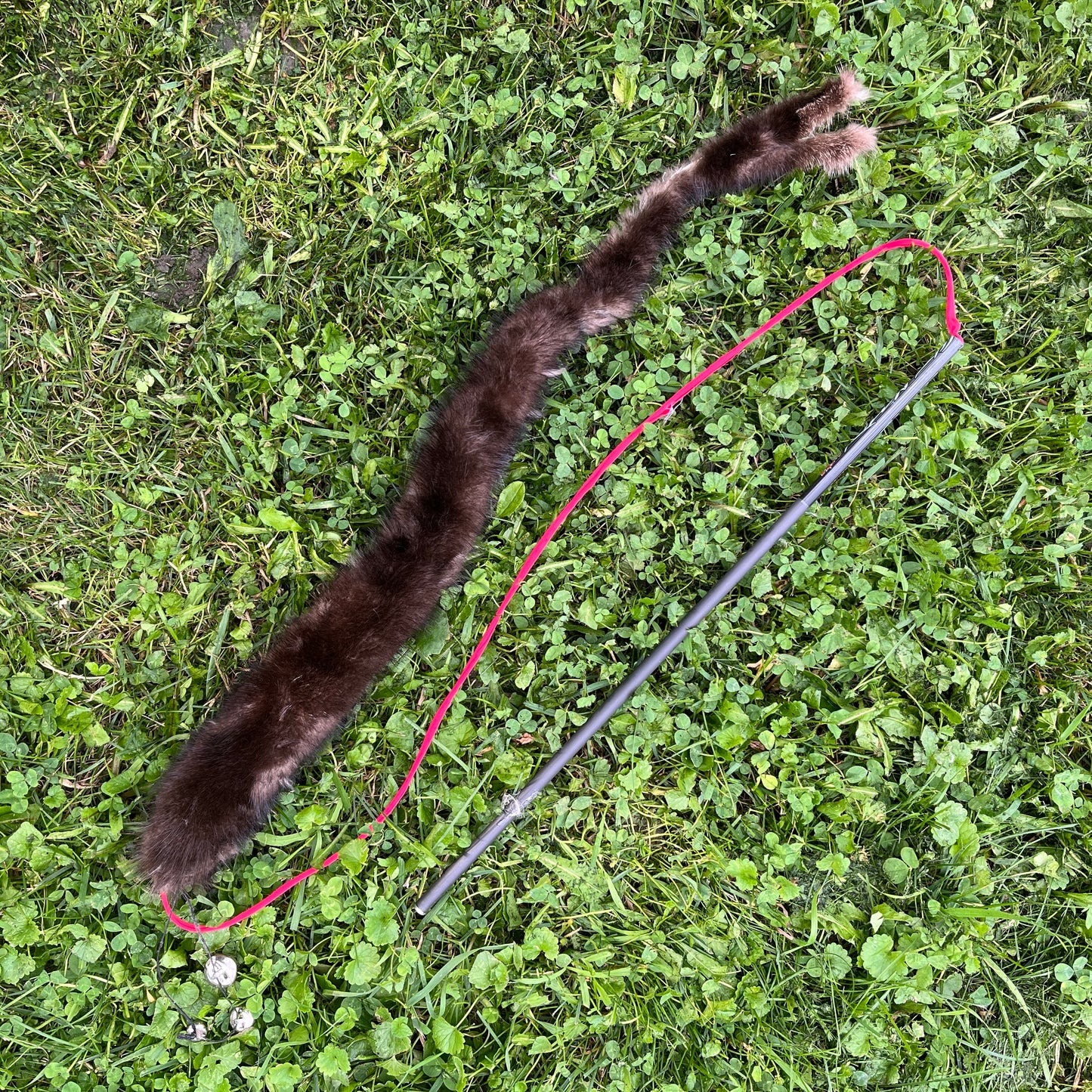 Cat Toys