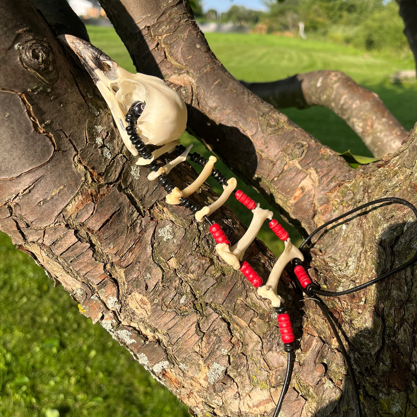 The Long Crow Necklace