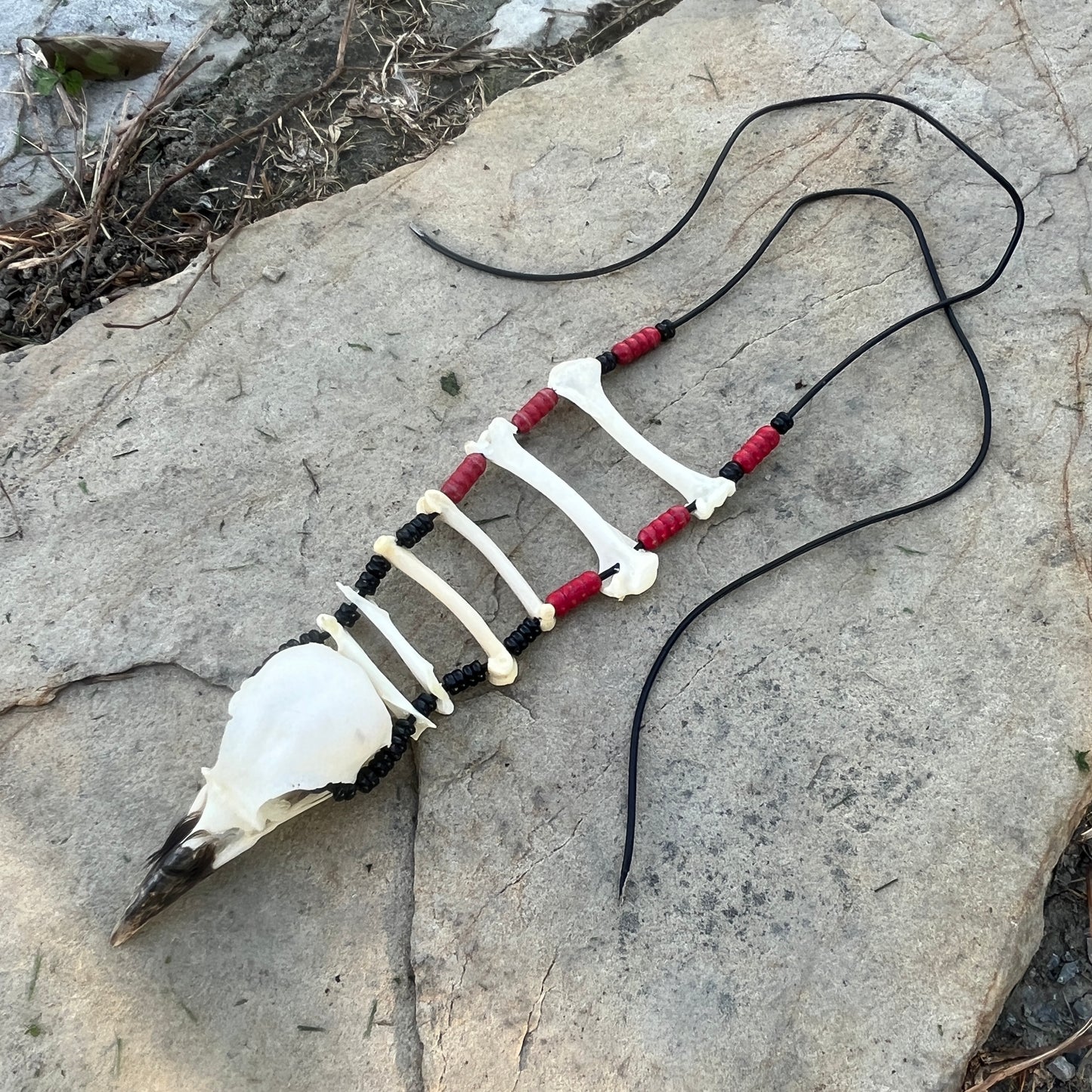 The Long Crow Necklace