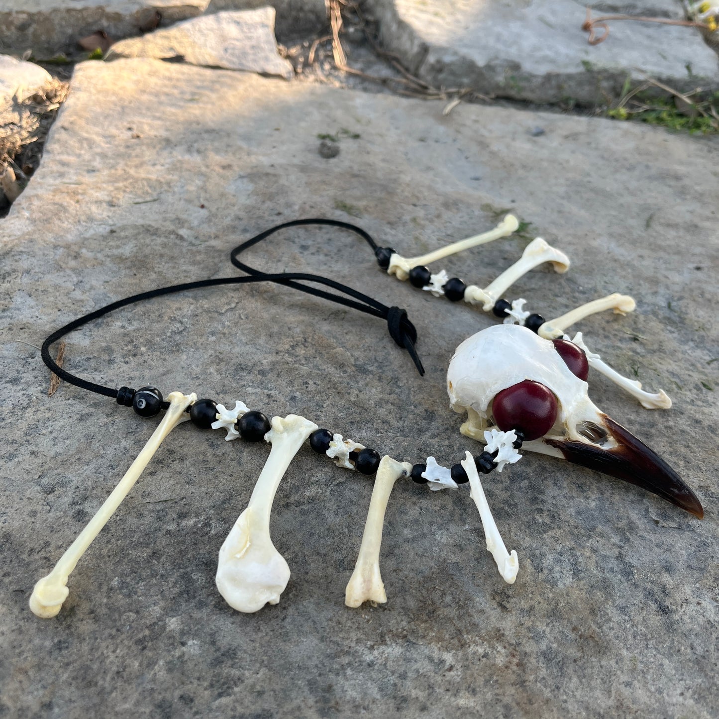 Le collier du corneille brillant