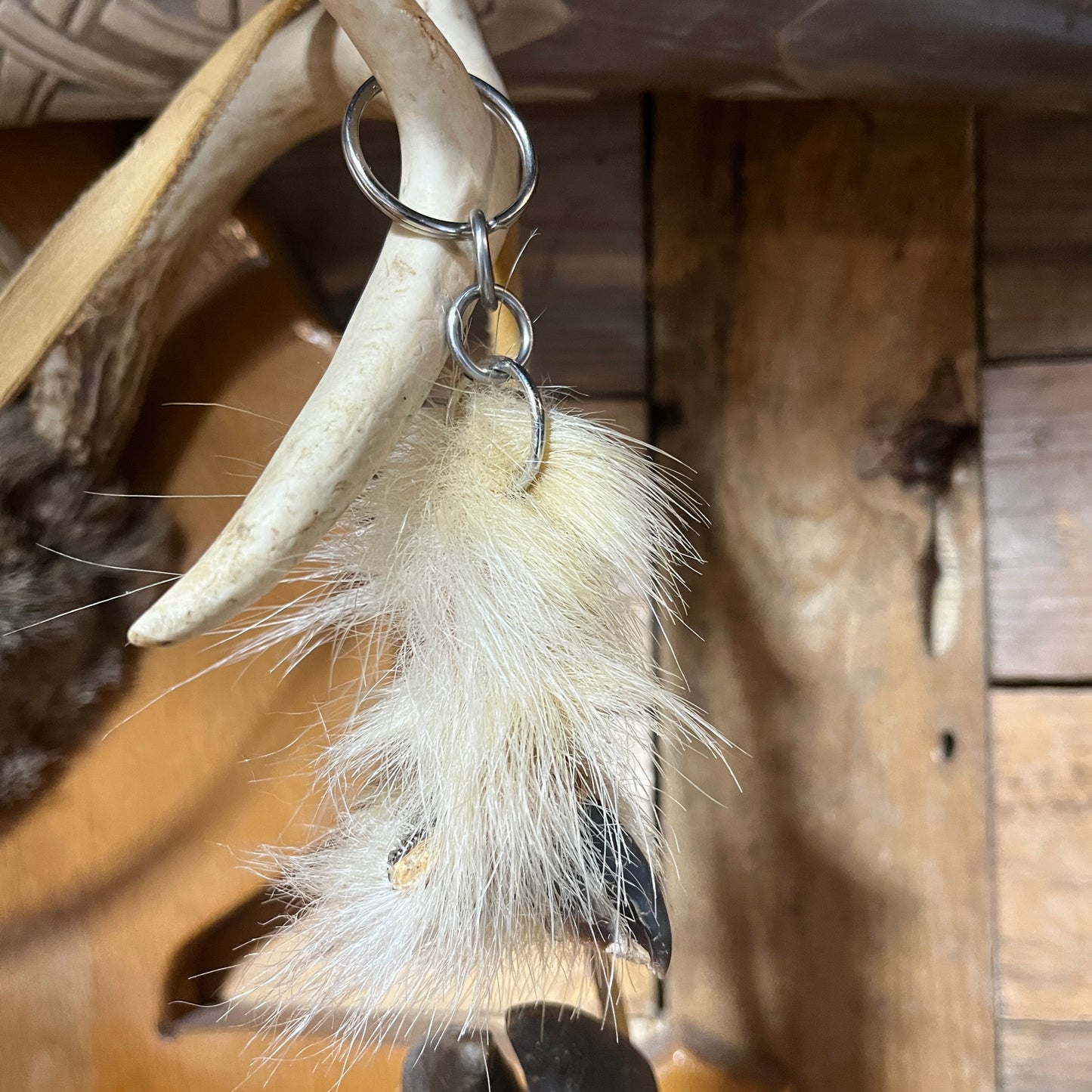 Pendentif Griffe d'Ours Polaire (long)