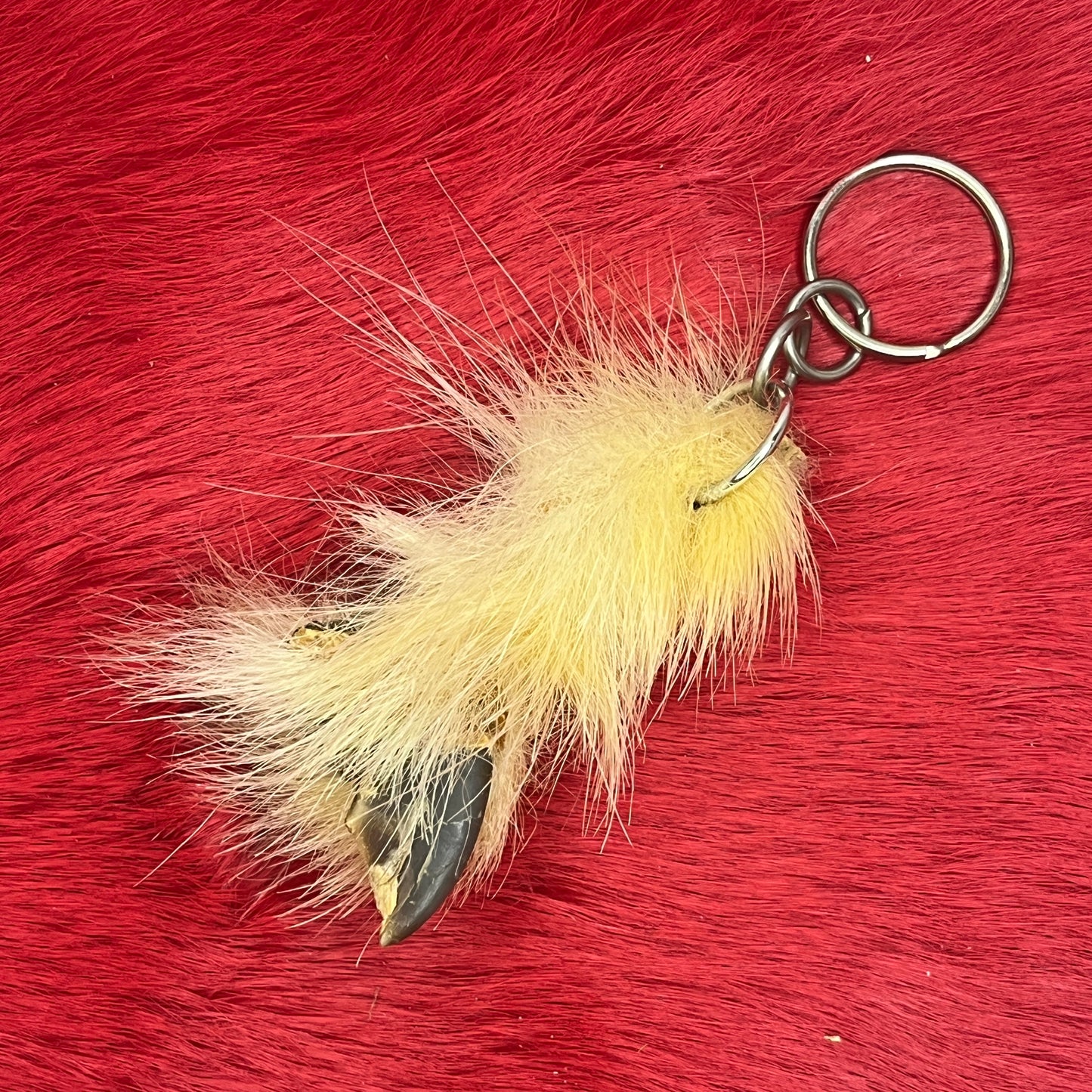 Pendentif Griffe d'Ours Polaire (long)