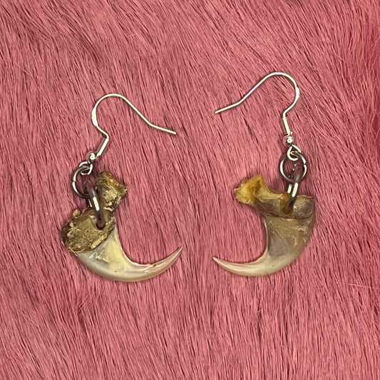 Earrings - Lynx claws