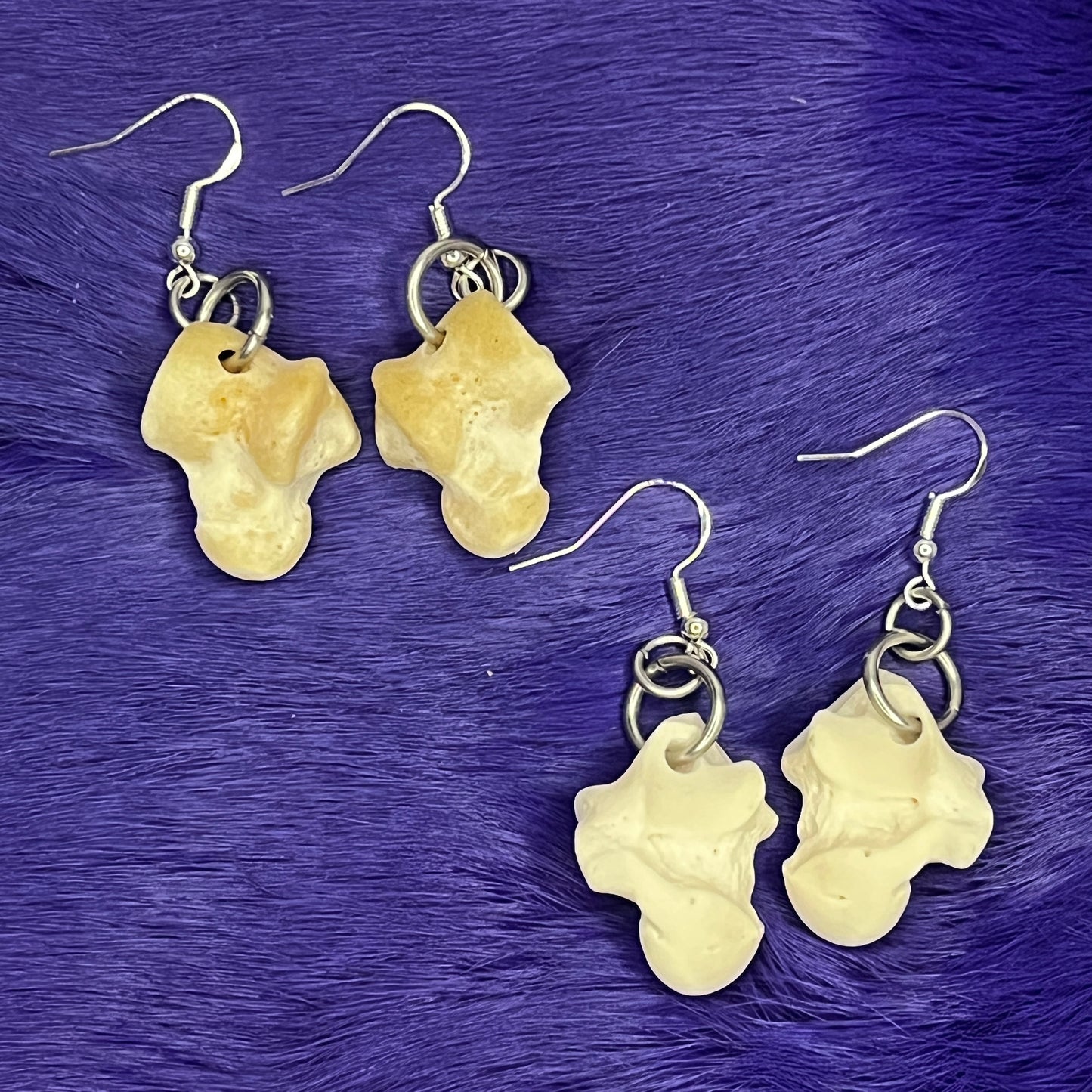 Boucles d'oreilles - Os du talus