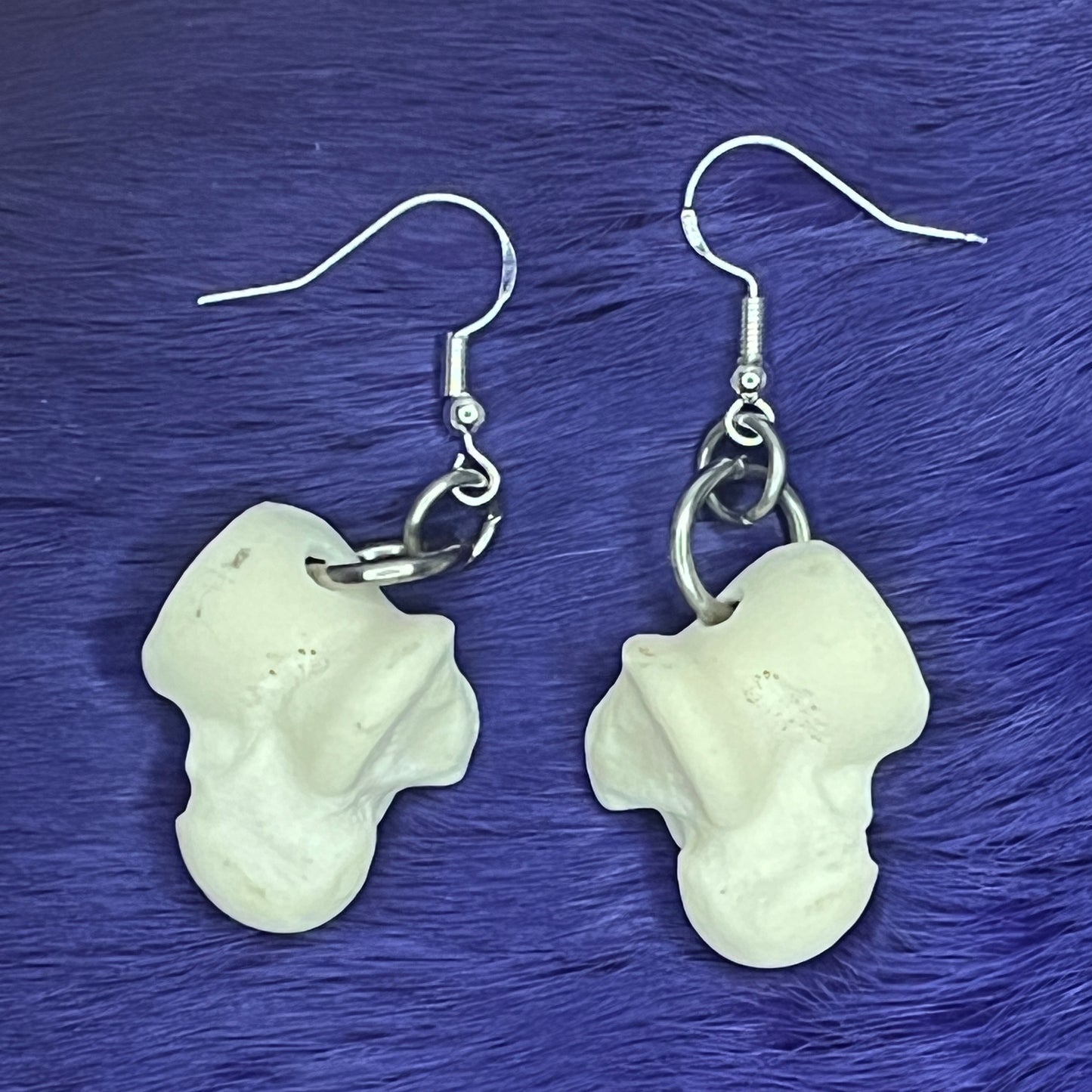 Boucles d'oreilles - Os du talus