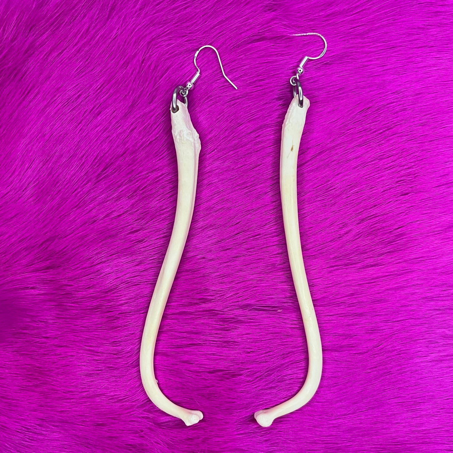 Boucles d'oreilles - Os du pénis