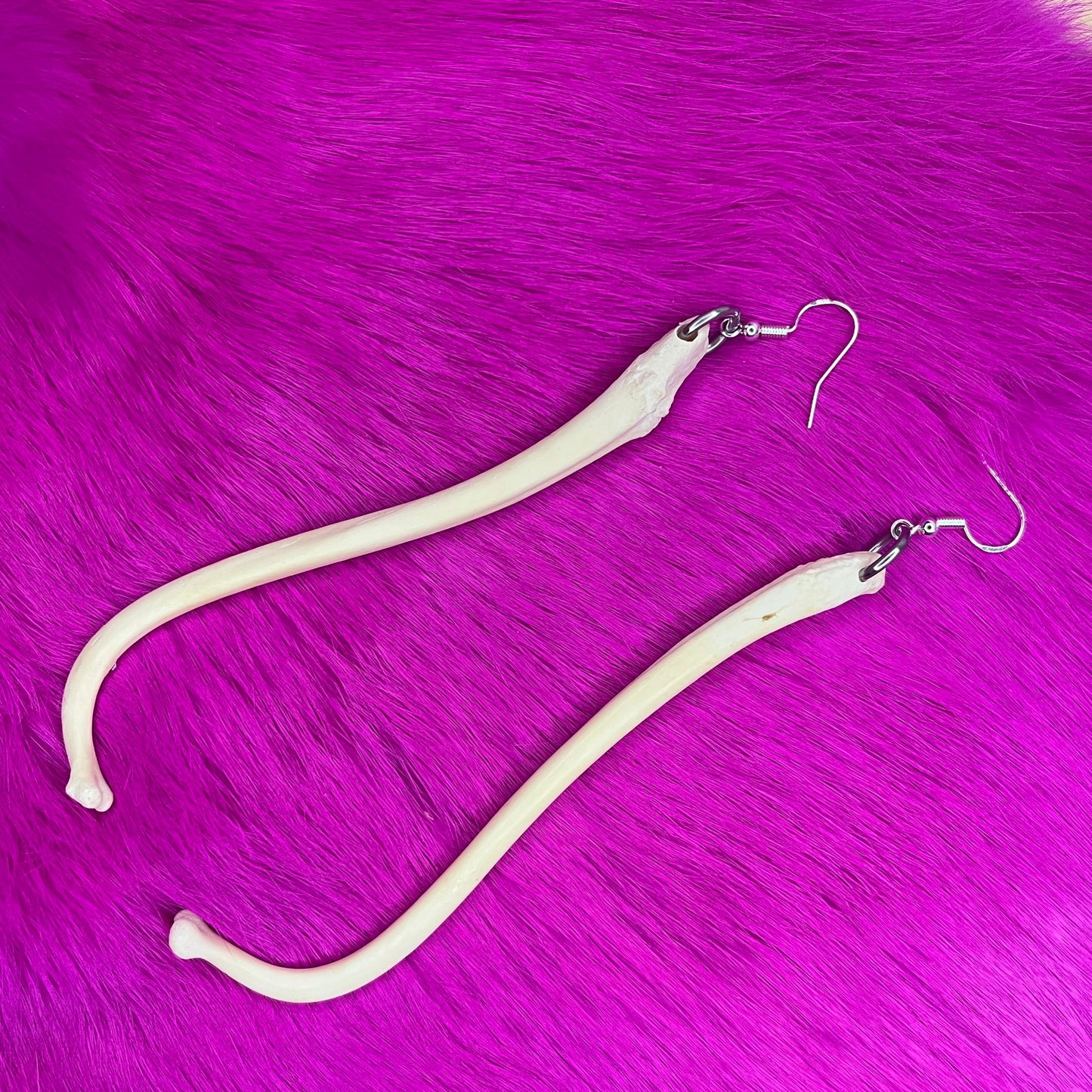 Boucles d'oreilles - Os du pénis