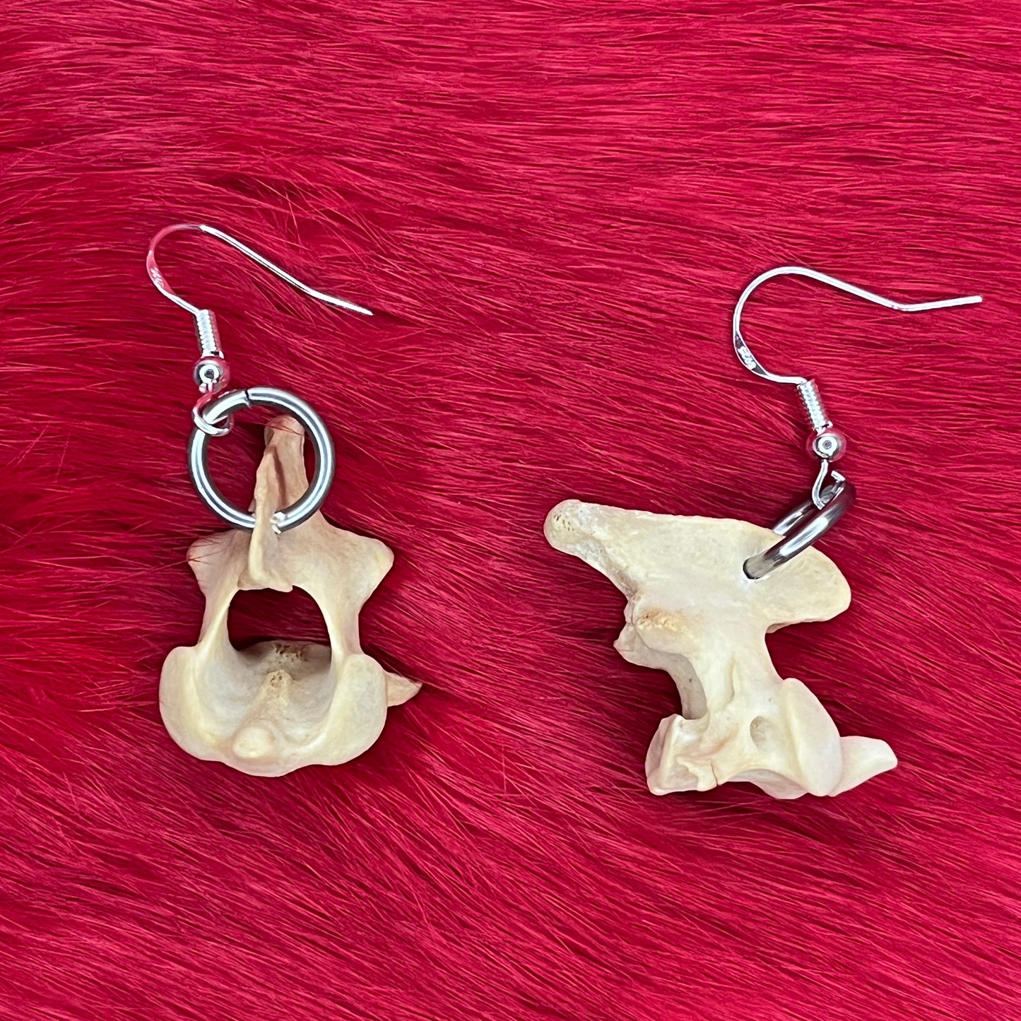 Earrings - Small vertebrea