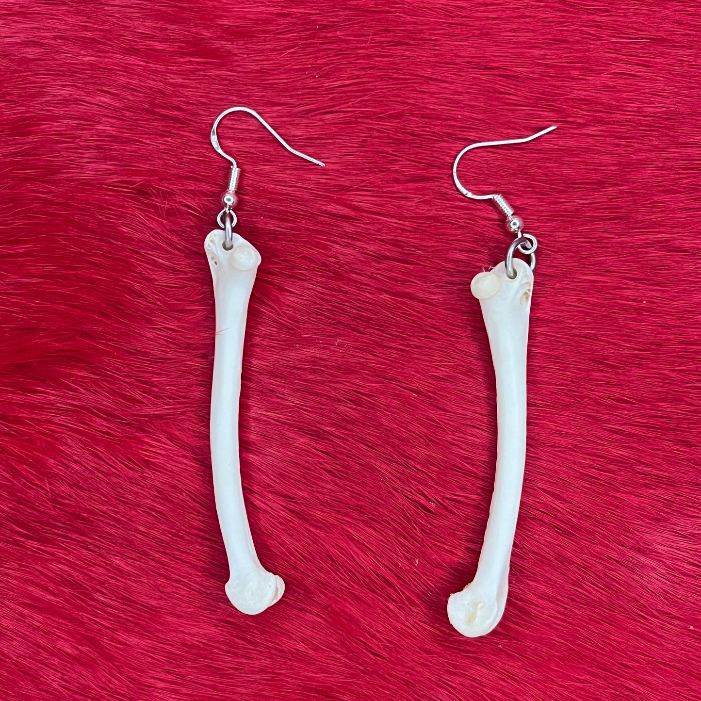 Boucles d'oreilles - Os de corbeau