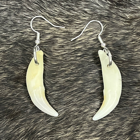 Earrings - Coyote teeth