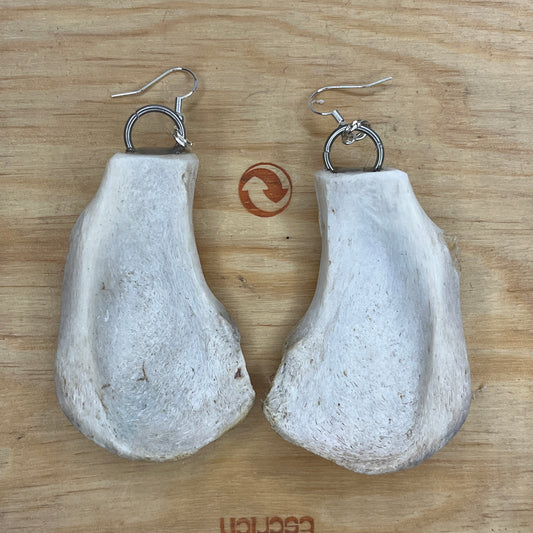 Earrings - Pelvic bone fragments