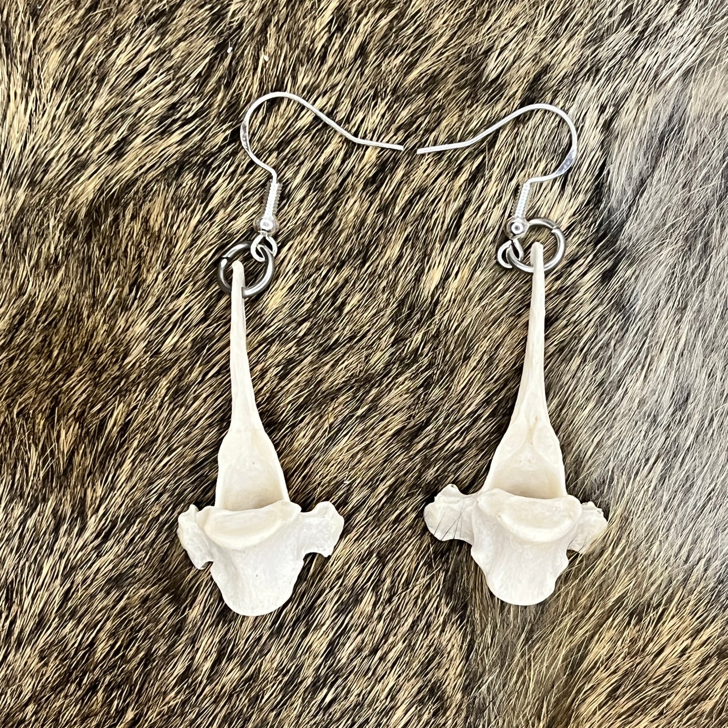 Earrings - Small vertebrea