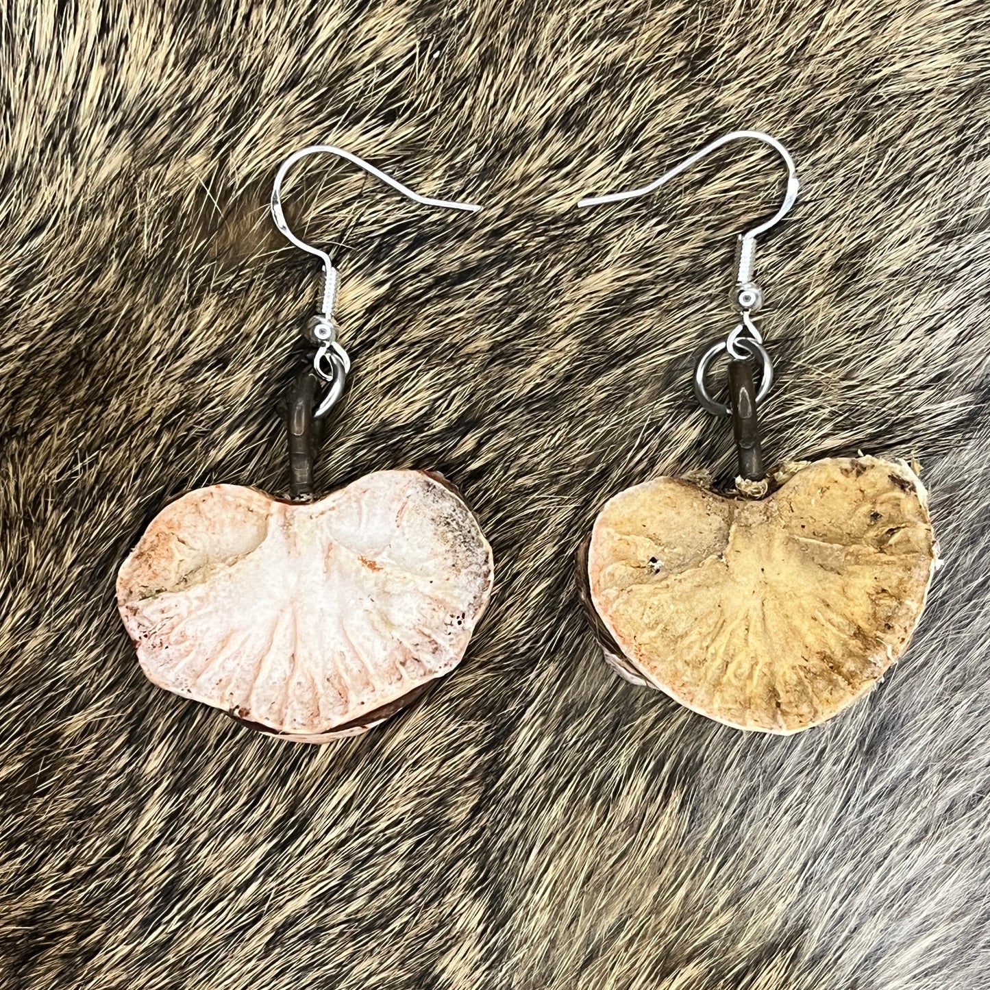 Earrings - Vertebral disks