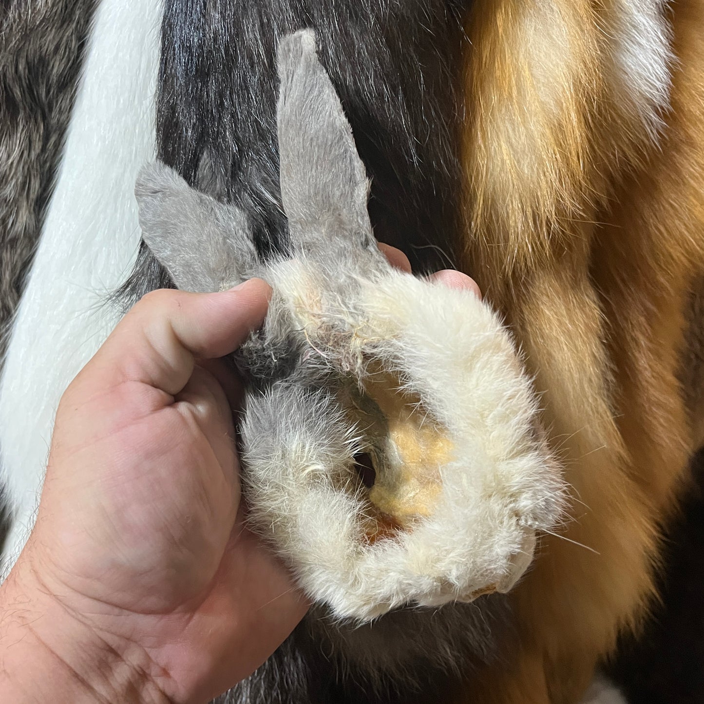 Rabbit Fur - Full Rabbit Face