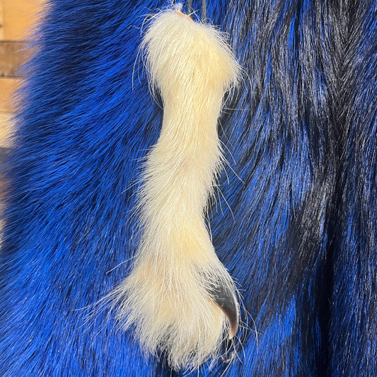 Polar Bear Claw Pendant (long)