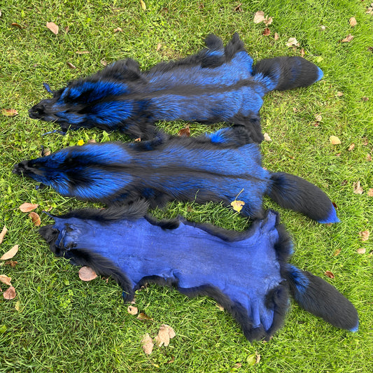 Dyed Silver Fox Pelt - Premium quality - Blue