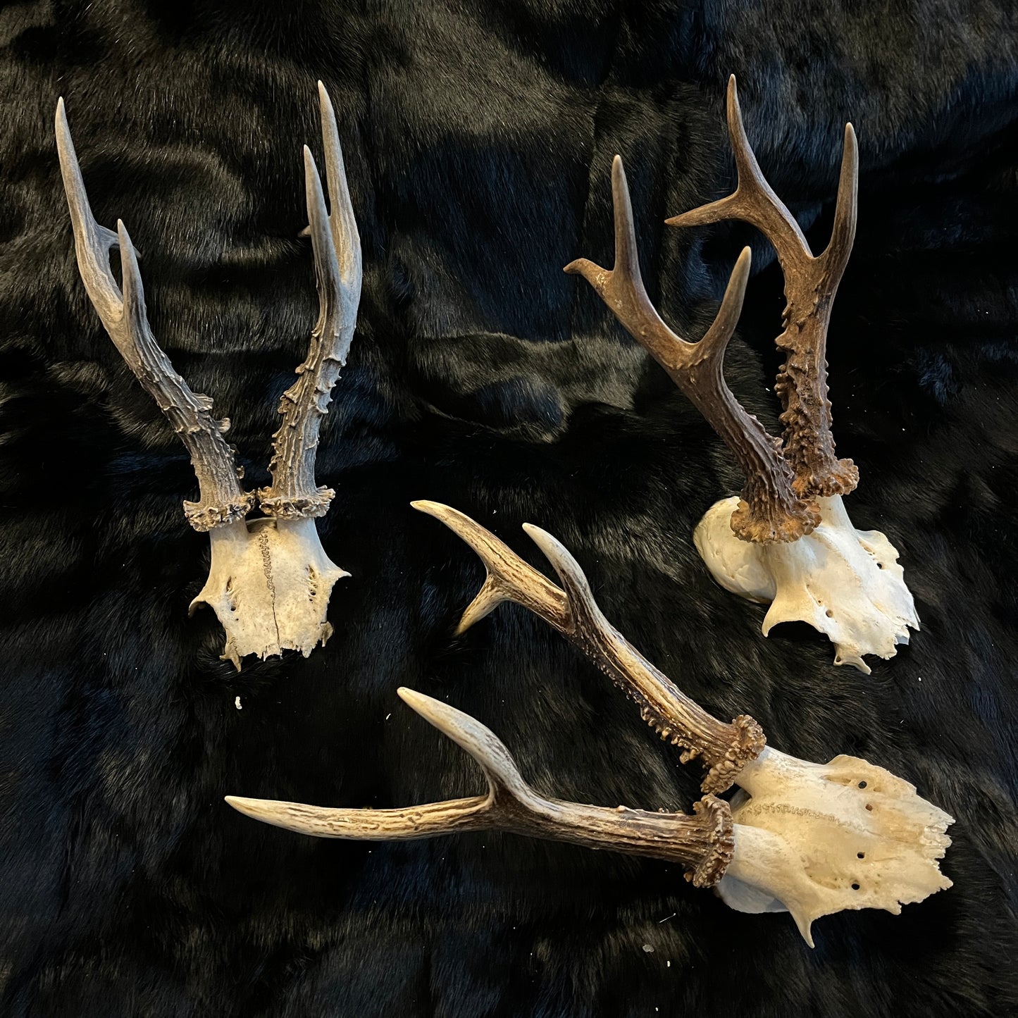 European Deer Antlers Hats