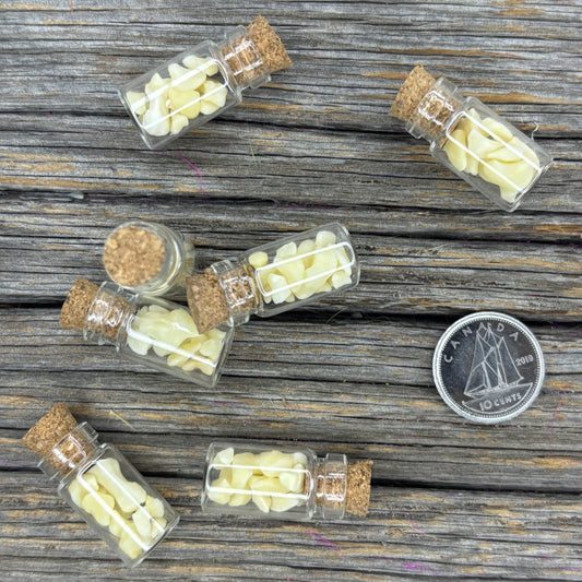 Skunk bones - Small miscellaneous bones