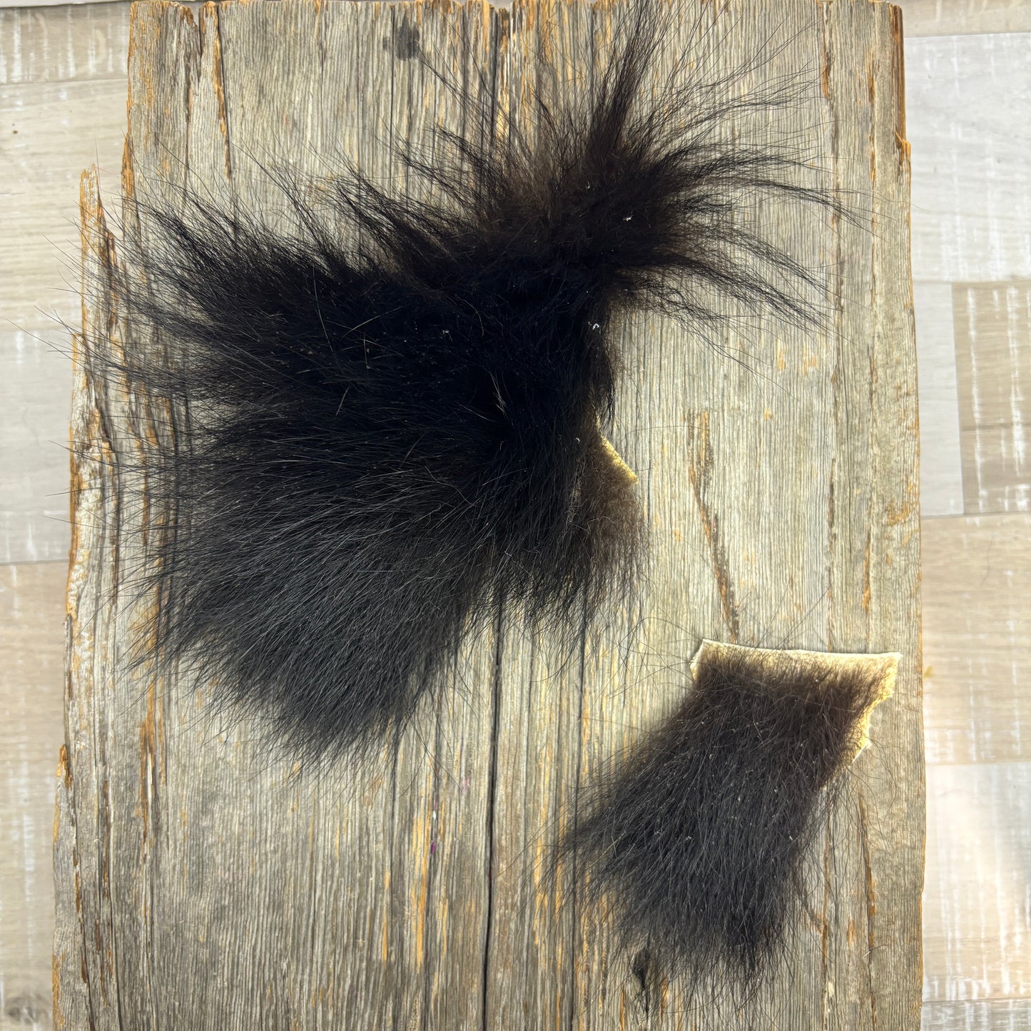 Bear tail furs