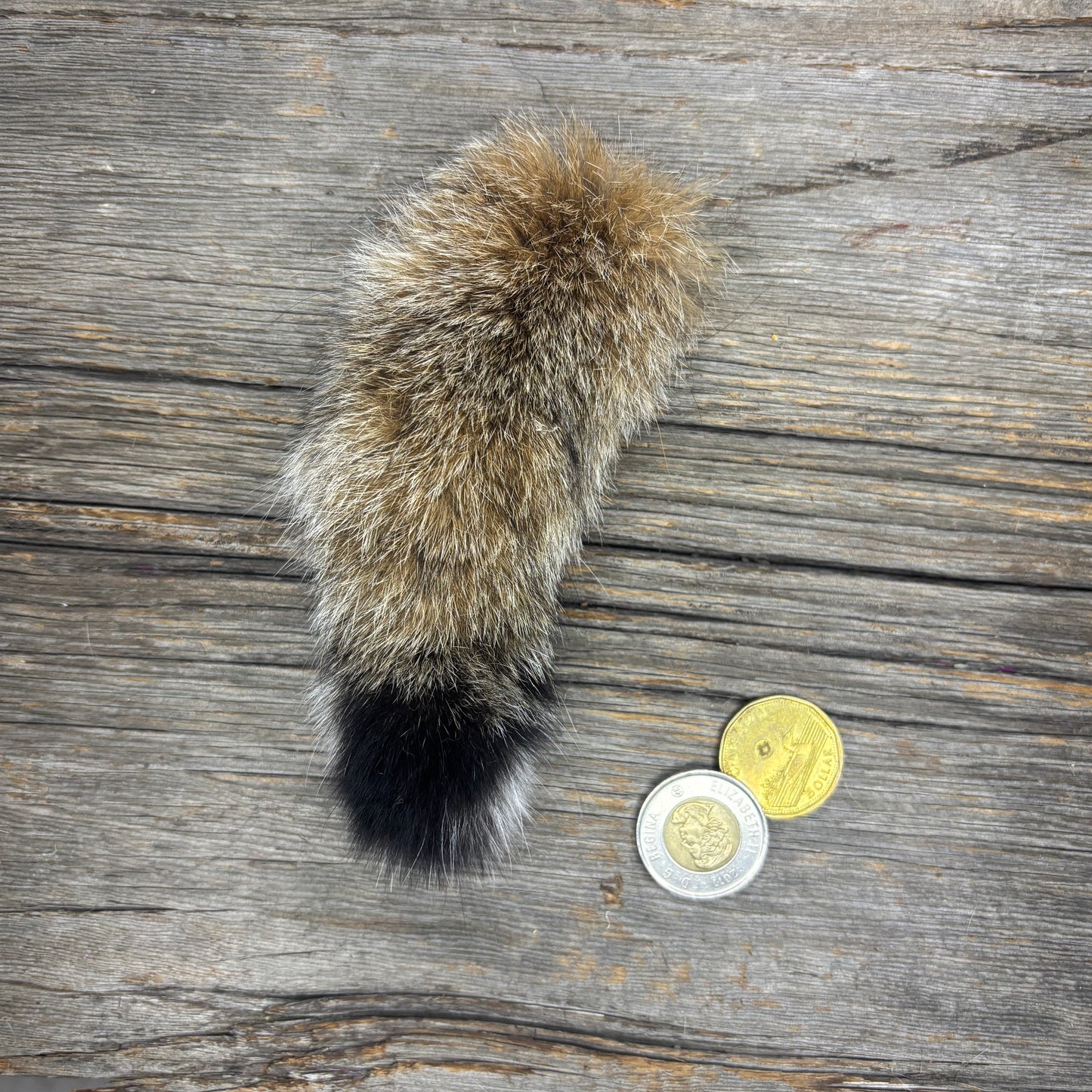 Lynx Tail Fur