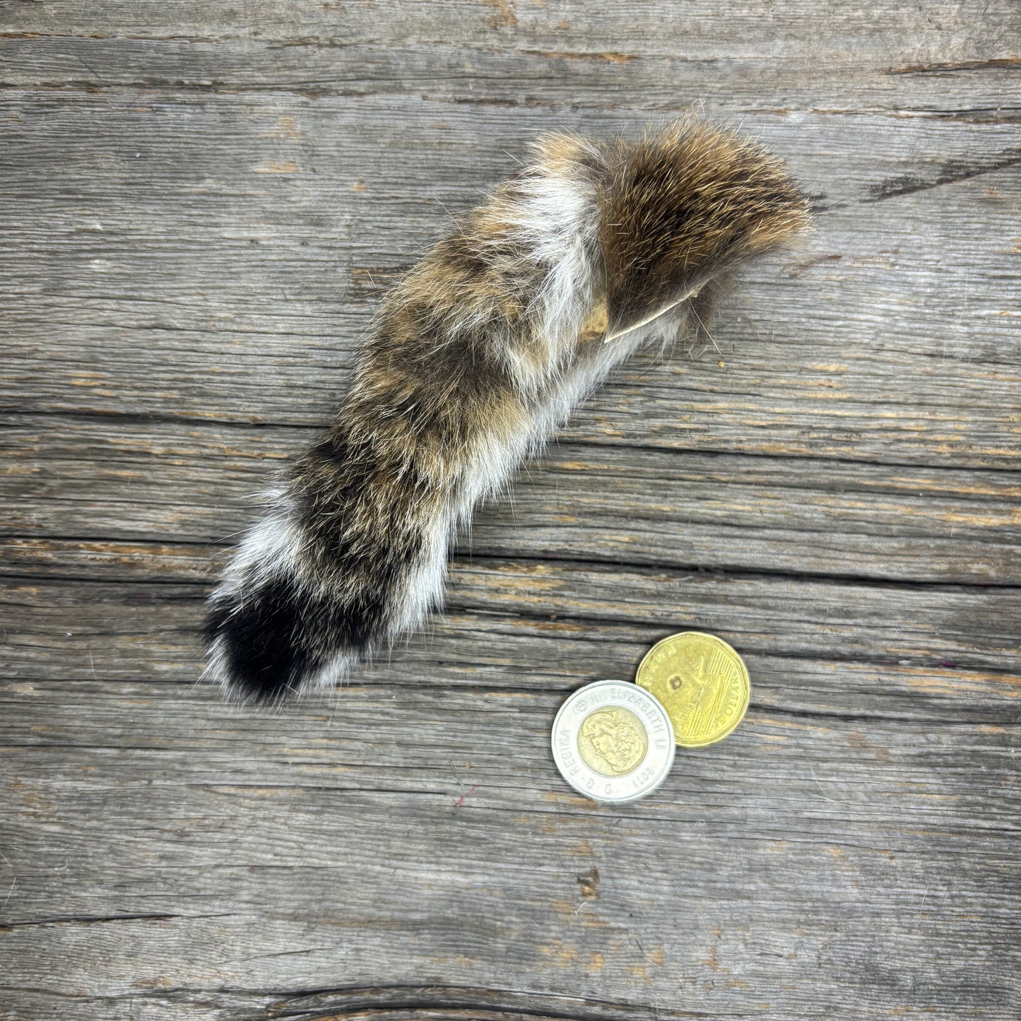 Lynx Tail Fur