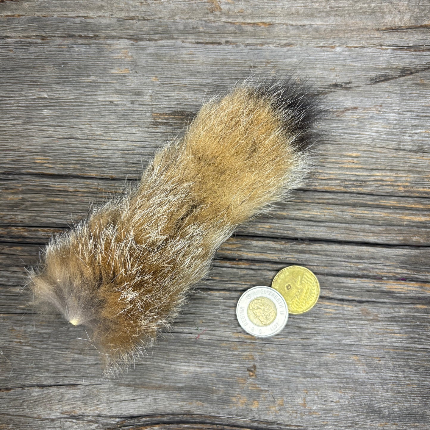 Lynx Tail Fur